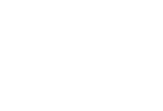 Immigration Imperative Logo